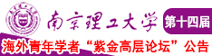 啊啊啊啊插我大鸡吧视频南京理工大学第十四届海外青年学者紫金论坛诚邀海内外英才！